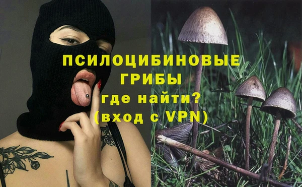 меф Белокуриха