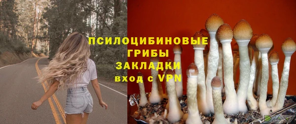 гидра Белоозёрский